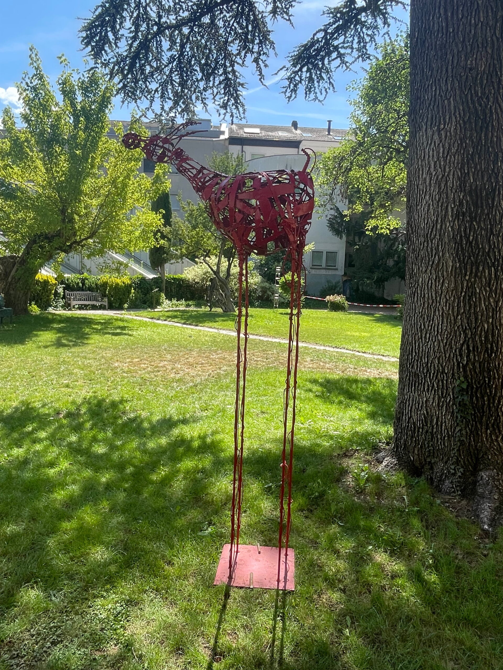 Antilope rouge