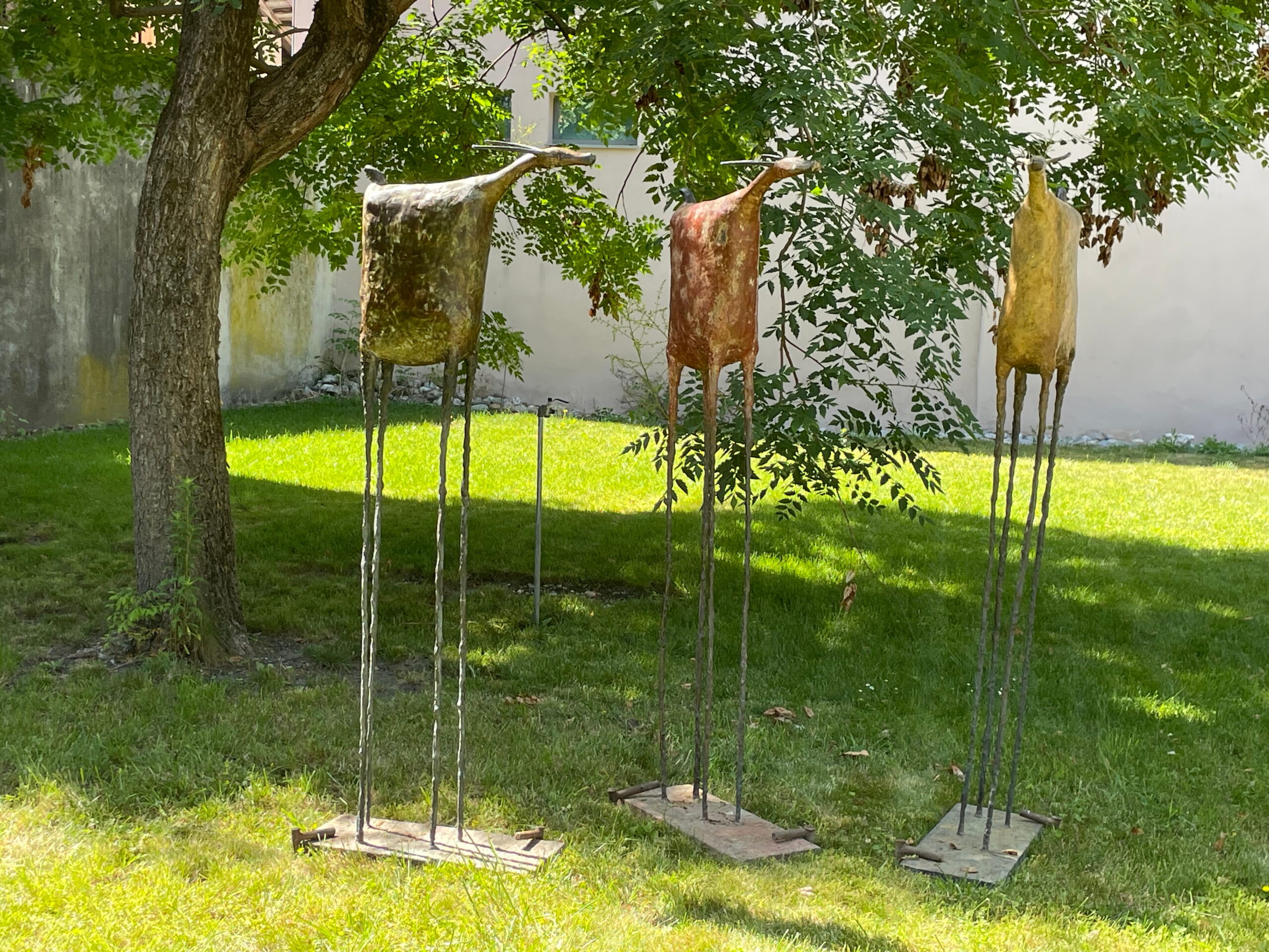 Les Antilopes