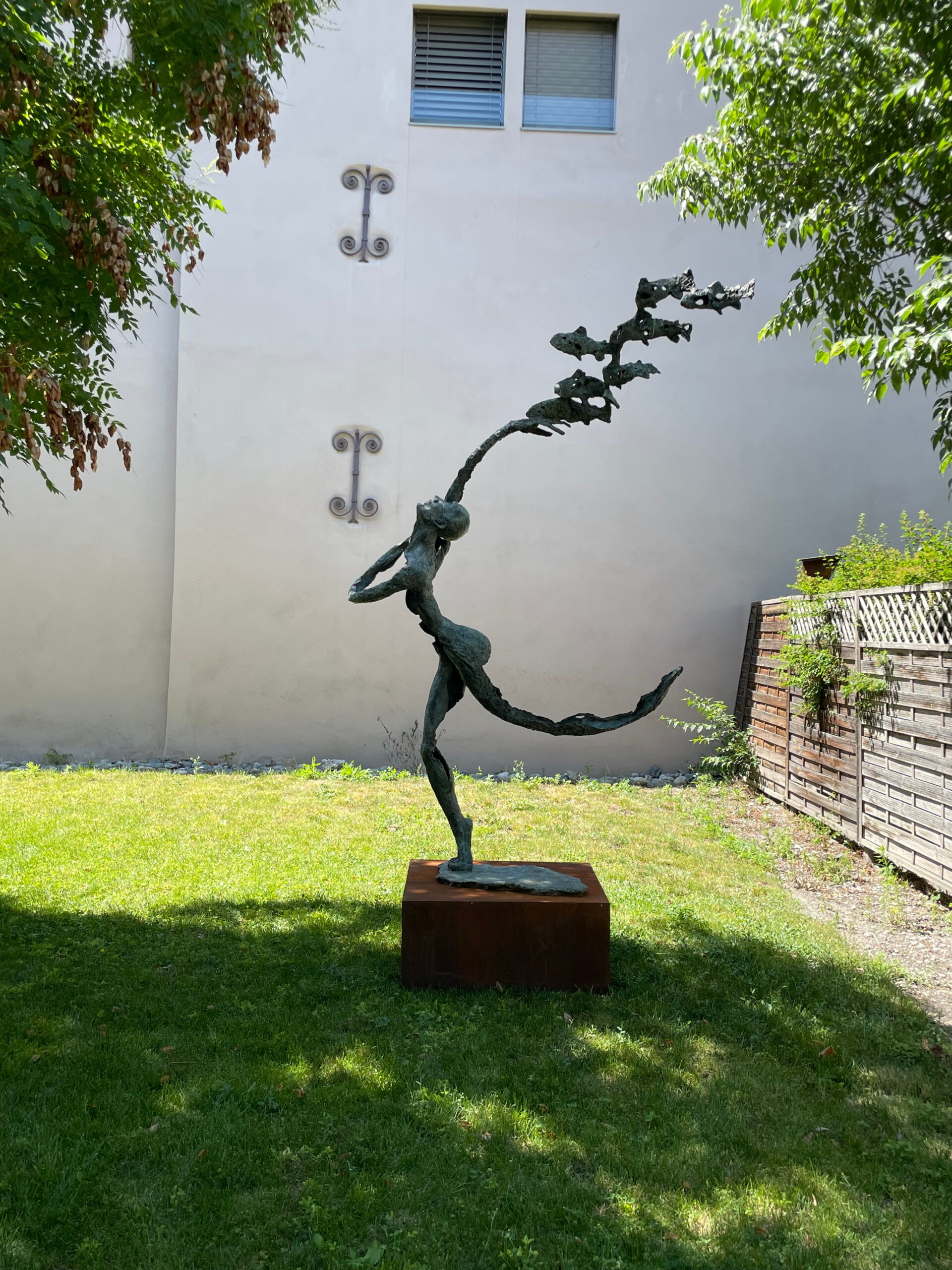 Danse avec les poissons